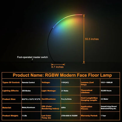 Minimalist Arched Floor Lamp