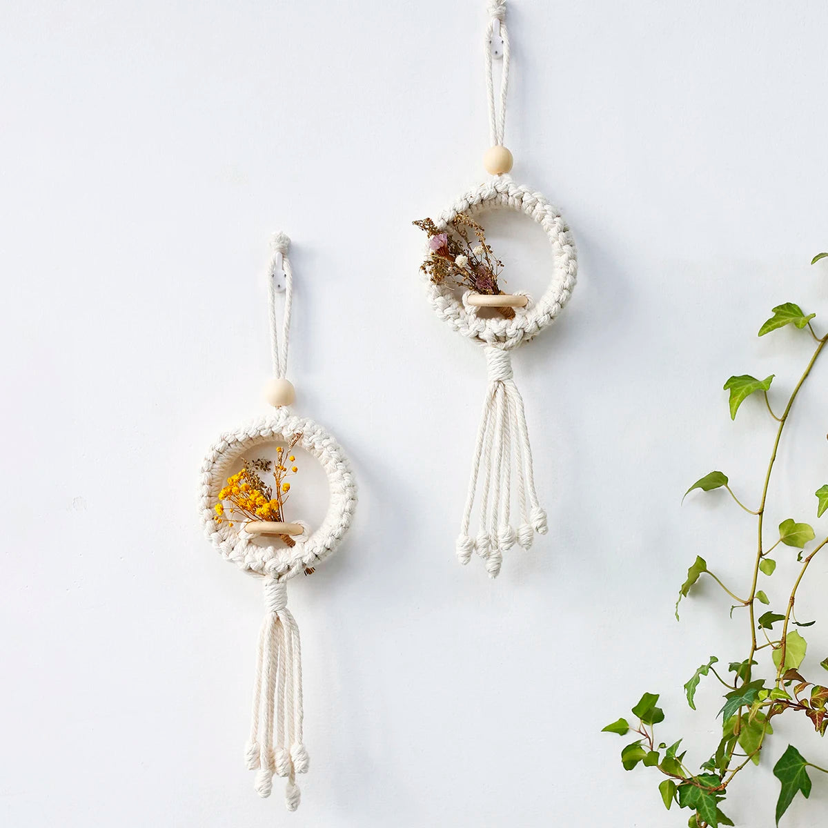 Air Plant Holder Macrame Wall Hanging Boho Decor