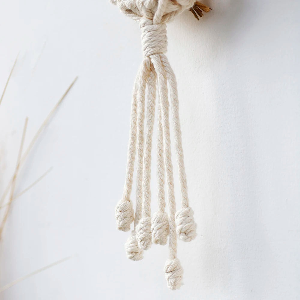 Air Plant Holder Macrame Wall Hanging Boho Decor